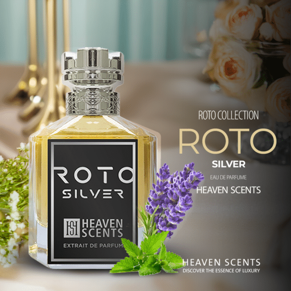 ROTO Silver 01 1