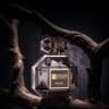 عطر بيرل – Pearl Perfume